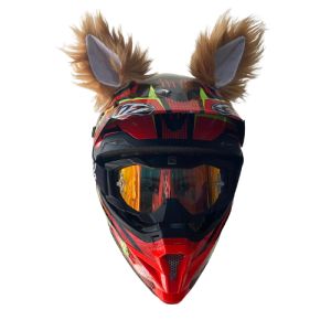 KUPING HELM BULU