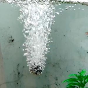 หัวทราย หัวทรายออกซิเจน หัวจ่ายอากาศ ชนิดละเอียด หัวทรายสำหรับสร้างอ๊อกซิเจนในตู้ปลา