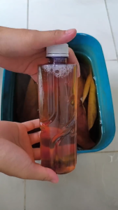 Nước cốt lá bàng tự nhiên - Dưỡng cá ngừa bệnh - GTS02