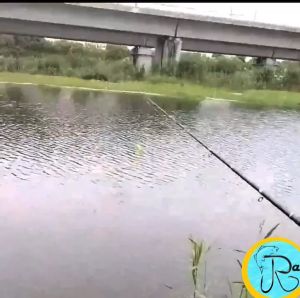 Joran Pancing Lipat joran Portable Lipat praktis Foldable telescopic fishing rod 1.3m bonus
