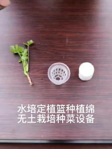 Balcony hydroponic planting basket plastic hydroponic fish tank vegetable planting basket soilless cultivation planting blue cup rooting device