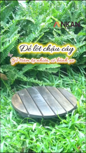 Đế Chậu Cây Có Bánh Xe Di Chuyển Hình Tròn Màu Hạt Dẻ R30cm Để Trang Trí Trong Nhà Ngoài Sân Hàng Chính Hãng