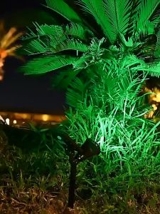 Solar Lawn Light Outdoor - Waterproof LED Spot Light with 3-Level Dimming Wall-Mounted/Floor Light for Garden Pathway (8-10H Lighting IP65)