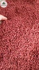 Hạt điều đỏ nguyên chất 1kg hạt cari hạt màu điều tự nhiên gia vị nấu ăn tạo màu thực phẩm