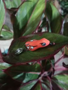 umpan pancing sofrog 3 cm killer new