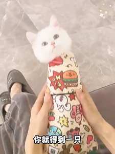 [SG Ready Stock] Multi Functional Cat Wrap Cloth Anti Scratch and Anti Run Cat Fixed Wrap Cat Wrap Cloth Bag Cat Fixed Towel Blanket Pet Wrap