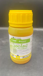 Basf เฮดไลน์  250 ซีซี ไพราโคลสโตรบิน ยากำจัดเชื้อราทุกชนิด เมล็ดด่างในนาข้าว กาบใบแห้ง แอนแทรคโนส ราน้ำค้าง ใบไหม้ ใบจุด ใช้ในพืชทุกชนิด