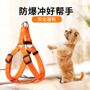Teddy Corgi Pet Supplies: A Comprehensive Guide to Retractable Leashes & Vest Style Harnesses