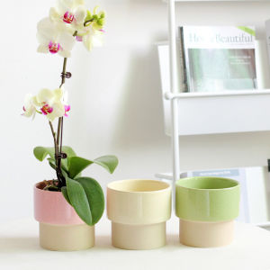Nordic Style Ceramic Flower Pots Indoor Balcony Succulent Planting Orchid Bat Orchid Tray Desktop Holeless Hydroponics Cream Style
