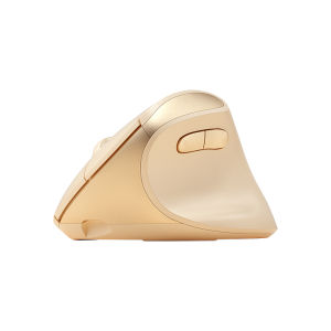 COEP | Ergonomic Vertical Dual-Mode Mouse Bluetooth Wireless