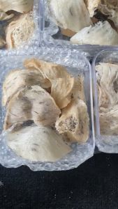 tổ yến thô bánh mì[hộp 100gr/50gr] + có quà chưng- Yến Sào Cô Ba Nguyên chất không tẩm đường