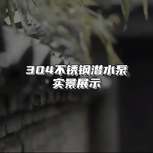 304 สแตนเลสปั๊มน้ําเสียกําลัง350W/550W/750W /1100Wทนต่อการกัดกร่อนปั๊มอุณหภูมิสูงปั๊มน้ําเสียปั๊มน้ําสะอาดปั๊มน้ําเคมีปั๊มน้ําเสียชลประทานการเกษตรปั๊มน้ําเสียในครัวเรือนปั๊มจุ่มปั๊มหัวสูง 220V