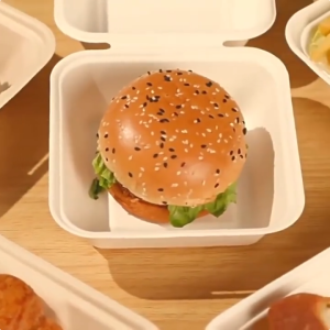 Biodegradable Sugarcane Bagasse Takeout Box Disposable Square Lunch Box Microwavable Burger Cake Packaging