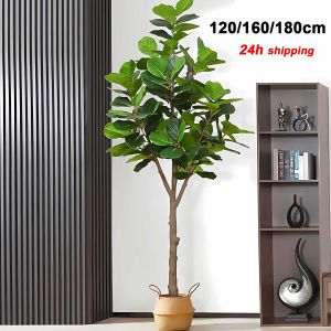 【Ready Stock】120/160/180cm Pohon Buatan/Pokok /Artificial Plant/Artificial Ficus lyrata /Pokok Ficus /Pokok Hiasan 人造植物