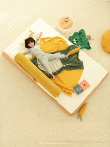 faroro | With Railings Solid Wood Single Floor Bed