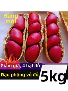 Đậu Phộng Đỏ Mới Tách Vỏ