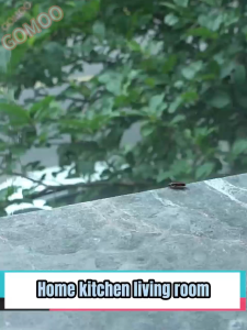 ✅ Buy 2 free 1 ✅ Japan Cockroach Gel Bait Non-toxic Repellent Roach Poison killer Cockroach Traps repellant Cockroach Killing Bait