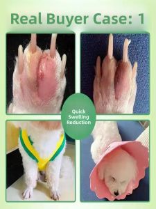 Bainued Pet Skin Medicine Cat Dog Fungal Infection Topical Cream Anti-Itch Antibacterial Footpad Wound Healing Pet Care