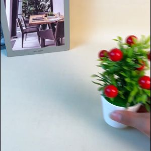 Sampai7an PBP32 / Pot Bunga Plastik Mini Dekorasi Hias Ruangan Cabe Jeruk Delima Berry Pajangan Import Jakarta / COD