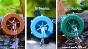 หัวน้ำหยด มีให้เลือก 12 18 24 ลิตร/ชั่วโมง ใช้แรงดัน 0.5 บาร์ ยี่ห้อ ระบบน้ำ ปลาวาฬ รุ่น WDRIP (แพ็คละ 50ตัว)