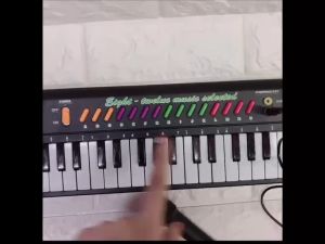 ELECTRONIC PIANO KEYBOARD SERIES WITH MICROPHONE BATTERY OPERATED COD