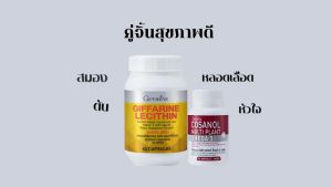 ้ส่งฟรี ลดไขมัน ldl omega3 เลซิตินโคซานอล กิฟฟารีน ยาความดัน ยาไตเสื่อม ยาบำรุงตับ อ้วน