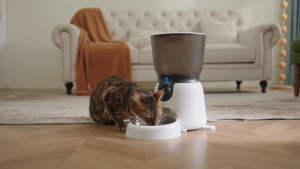 ARENTI Pet Feeder 2 Kit for Cats and Dogs | Wired Plug-In Version | Camera Feeder and Water Fountain | 2K UHD 3MP | Pet Surveillance Camera