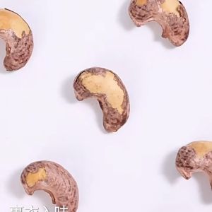 Mr.Squirrel Cashew Nuts 500g Daily Healthy Dried Fruit Snacks Roasted Cashew Nuts on Sale Wholesale
