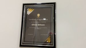 🌈Economy A4 Frame for certificates(free wrapping)🌈 (sijil certificate photo graduation document)