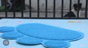 ดักทรายแมว 40x30 แผ่นดักทรายแมว วังหน้าห้องน้ำแมว ดักจับทรายที่ร่วงจากเท้าแมว