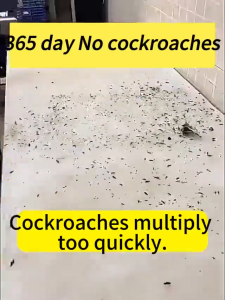 Termite Bait 10pcs Ant Killer Biological Termite Killer for Home Safe Protectionfor Home Furniture