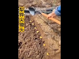 Soil Turning Hoe Triangle Hoe Garden Tool for Weeding Planting,Digging Soil Leveling