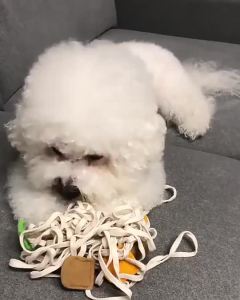Dogs Snuffle Toys Puppy Dog Nosework Training Toy Pet Dog Sniffing Puzzle Toys Funny Noodle Shape Leaking Food Toys