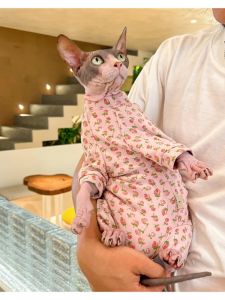 Pure Cotton Cat Clothes for Hairless Cats Pet Apparel Autumn Winter Four Leg Cover Belly Bag Sphinx Deven Cat Clothes