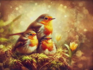 Acrylic Paint By Numbers Robin Bird Painting By Numbers on Canvas Coloring By Number for Adults Paint Digital Art