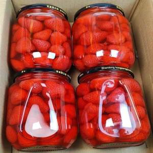 Fresh Strawberry & Peach Canned 510g