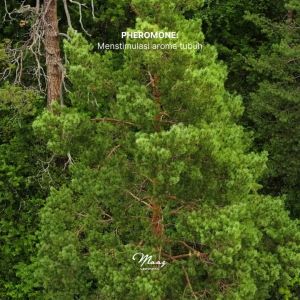 Parfum Pheromone Eau De Parfume - Maaz Grooming Perfume / Parfum 30 ml