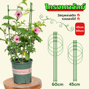 MD โครงเถาวัลย์ เสามะเขือเทศ โครงปลูก อุปกรณ์สำหรับพืชไม้เลื้อย 45cm 60cm plant trellis