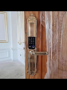 Khóa vân tay thông minh đại sảnh tân cổ điển Demax EL822 app wifi chính hãng công nghệ Đức cao cấp
