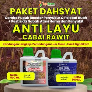Pupuk Pestisida Topfarm / Obat Layu Pusarium Cabe Rawit / Obat Layu Fusarium Cabe Rawit / Obat Cabe Layu Mati / Obat Cabe Layu / Obat Layu Tanaman Cabe / Obat Keriting Daun Cabe / Obat Akar Cabe Rawit