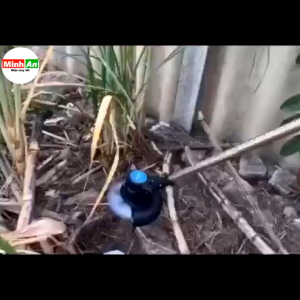 Máy cắt cỏ dùng pin cầm tay Hitachi 199v máy phát cỏ tặng bộ dụng cụ làm vườn