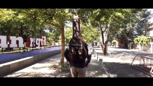 Zorc Official - Max Tosca | Gigbag | Tas Gitar Akustik Jumbo All Size