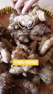 Temulawak Hitam Segar 250gr – Herbal Alami untuk Kesehatan Liver & Stamina Tubuh