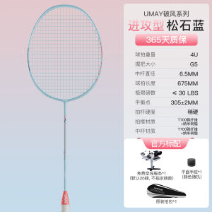 Professional Badminton Racket Full Carbon Offense Type Training for Men And Women Lightweight Durability Single Double Play