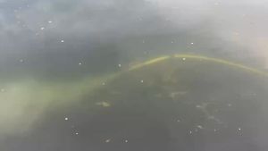 Đầu phun vi bọt khí VENTEK 301