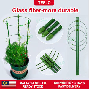 【TESLO】🔥Malaysia In Stock🔥 flower rack ring frame stand stick net conical garden trellis tool plant stand flower stand plant climbing support 植物爬藤架