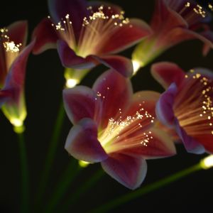 1PC 6Head Solar Powered Lily Flower Stake Lights Outdoor Garden Landscape Lights Used for Courtyard Party Landscape Decoration