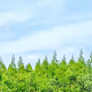 โคมถนนโซล่าเซลล์ LED 5000W (แผงในตัวพร้อมแป๊ป) (เดย์วอร์ม)