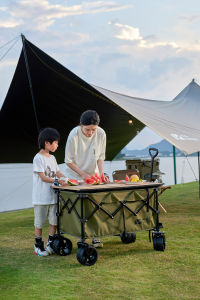 MOBI GARDEN 190L Folding Trolley Camping Wagon Cart Large Capacity Luggage Handle Travel Shopping Outdoor