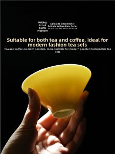 GUYUETANG | Museum Quality High-End Japanese Wabi-Sabi Ceramic Cup for Gift
